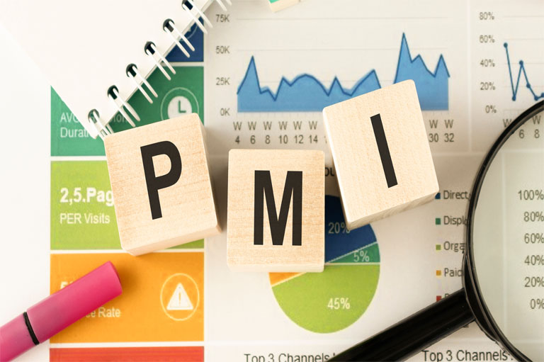 pmi rmp certification cost