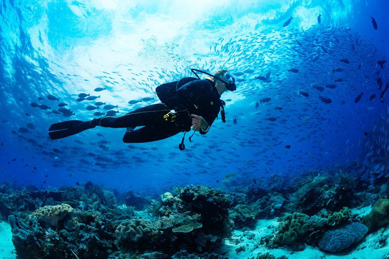 Scuba Diving Classes Near Me