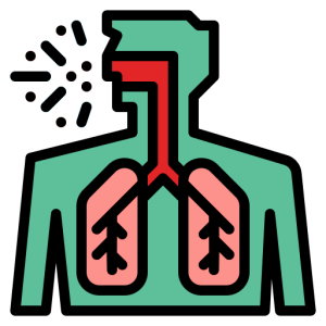 respiratory system