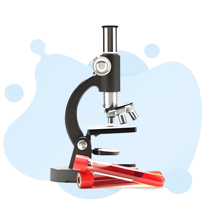 Lymphocyte Stimulation Test